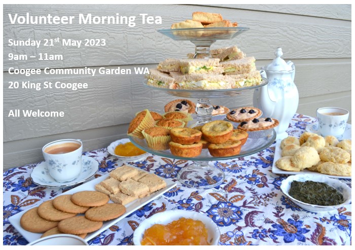 Volunteer Morning Tea teaser