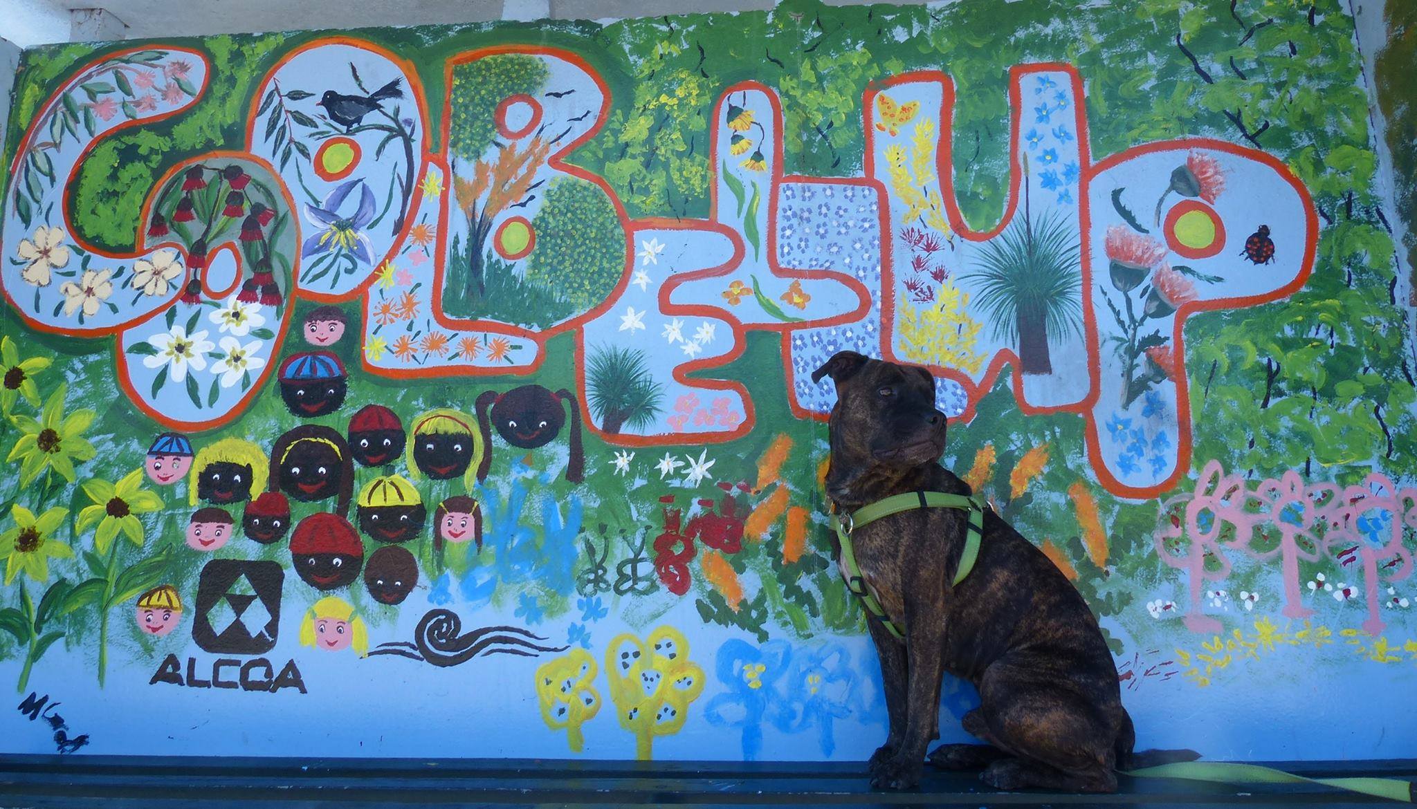 Cooby Bus Stop with Dog
